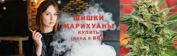 сатива Вязники