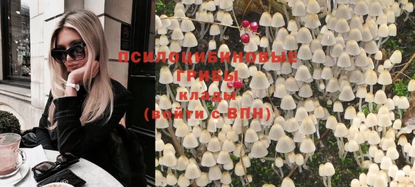 сатива Вязники