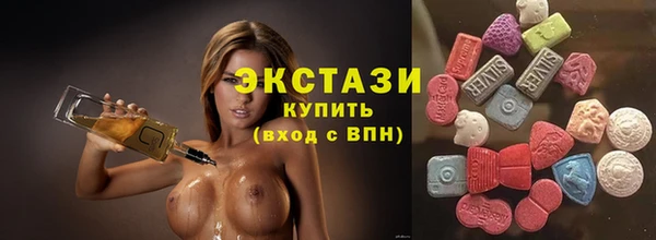 ECSTASY Вяземский