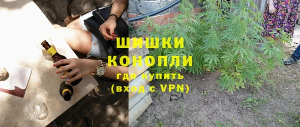 ECSTASY Вяземский