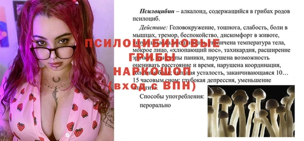 сатива Вязники