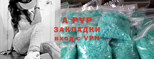 ECSTASY Вяземский